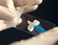 comment utiliser la brosse cervicale pour les cellules cervicales